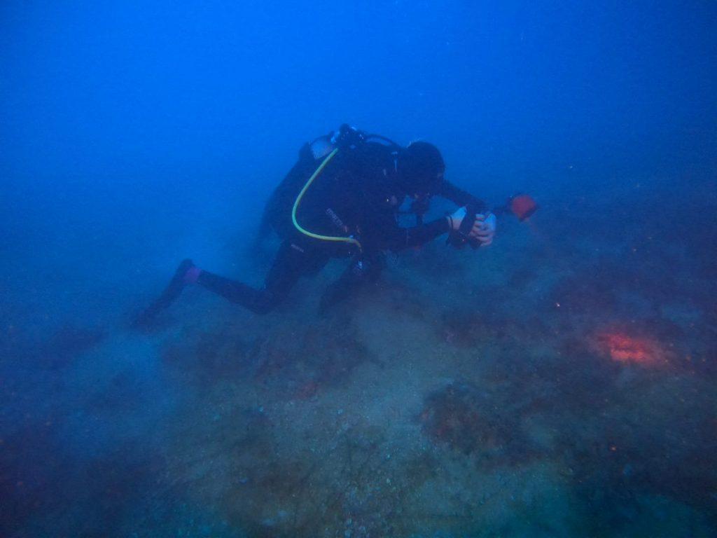 Dr. Francesca Panizuti photographs the samples before the collection